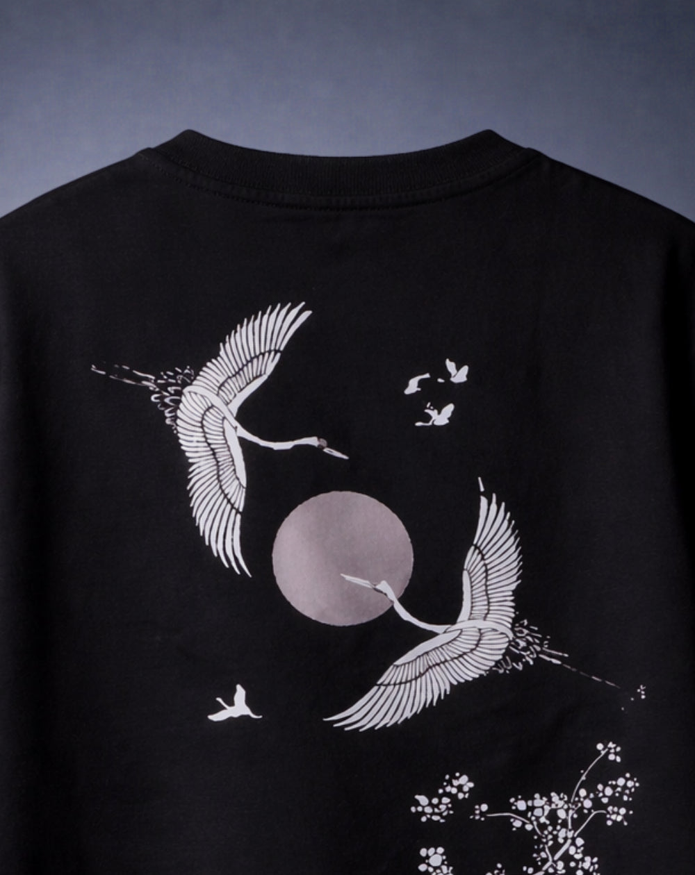 SKYBOUND Secondary image